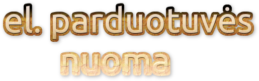 el. parduotuvės nuoma