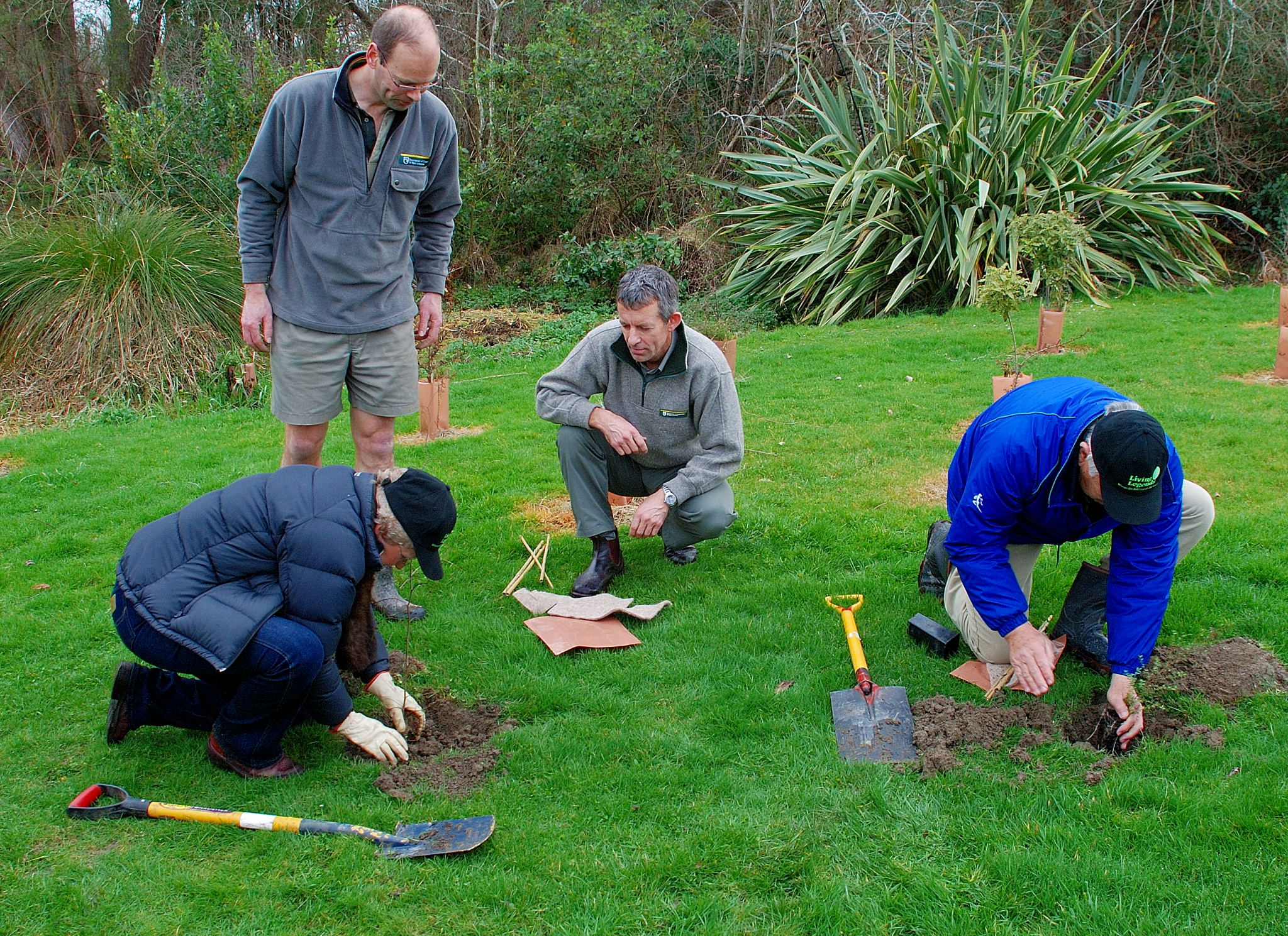 Apželdinimo projektai: kaip išsirinkti įmonę?