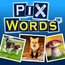 Kur rasti pixwords atsakymus?