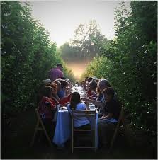 Kaip paruošti sodybą vasarai