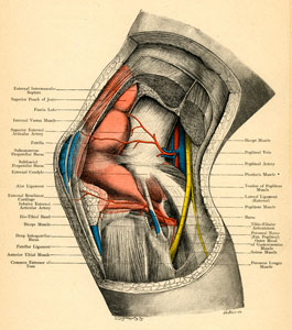 Kaip mane siuntinėjo gydytojai