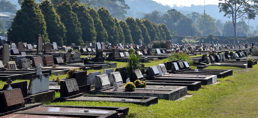 Profesionalus kapų tvarkymas už prieinamą kainą